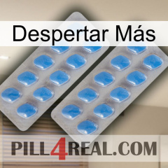 Despertar Más 23